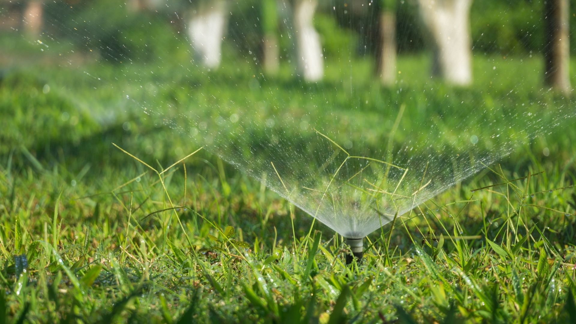 Gartengestaltung