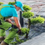 Gartengestaltung